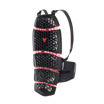 DAINESE PRO-ARMOR BACK SHORT 2 001