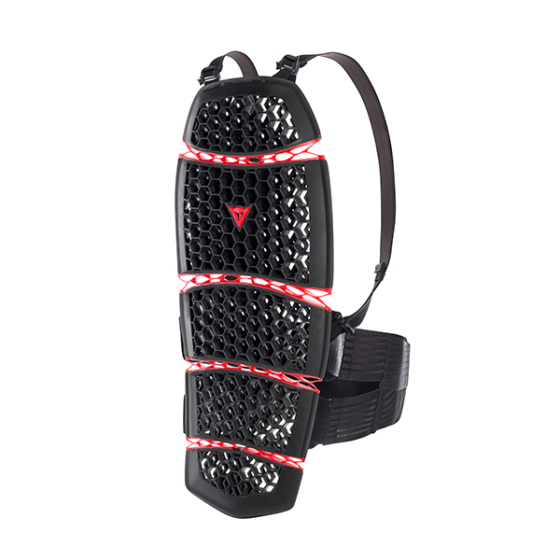 DAINESE PRO-ARMOR BACK SHORT 2 001