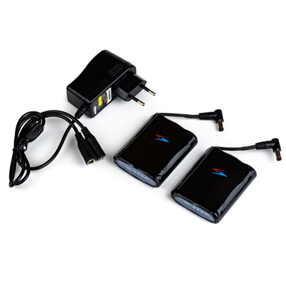 RICHA 12V-2AH BATTERY SET (EU PLUG)